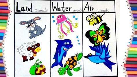 air animals drawing|How to Draw Animals .
